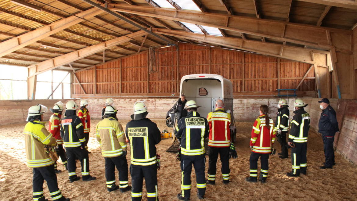 Seminar „Großtierrettung“