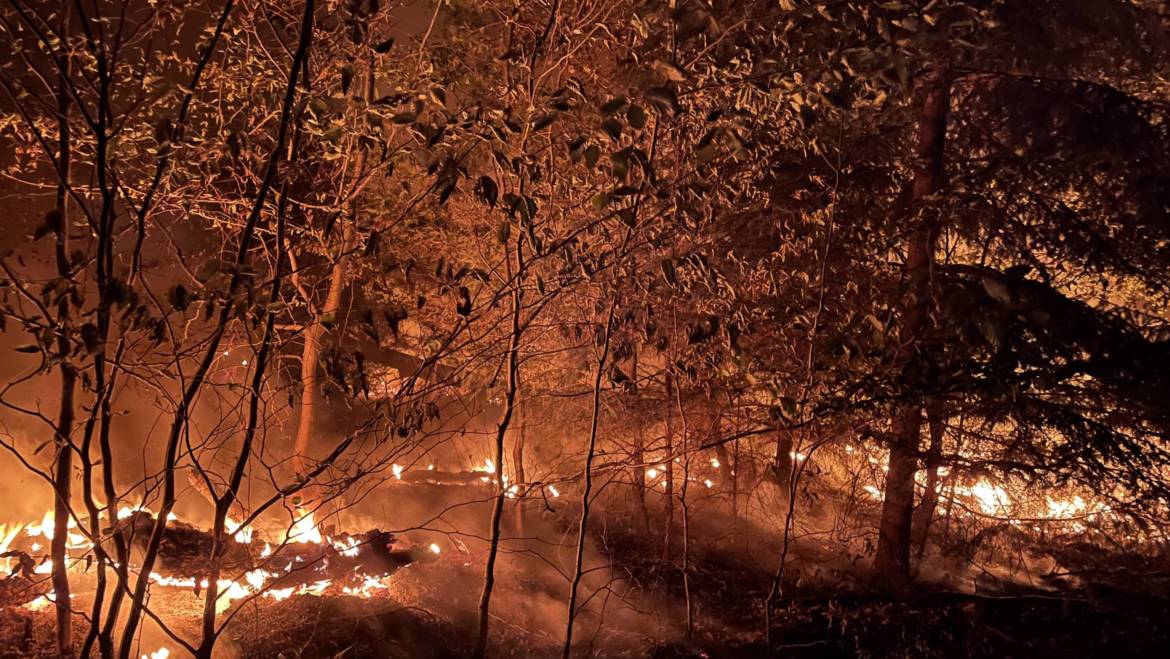 Waldbrand beschäftigt Feuerwehren in der Hardt