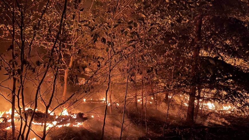 Waldbrand beschäftigt Feuerwehren in der Hardt