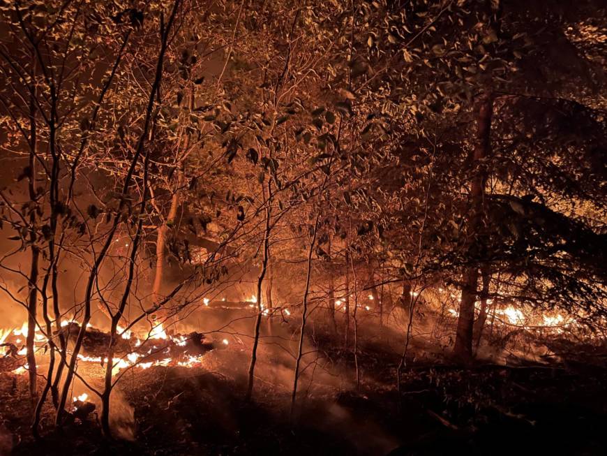 Waldbrand beschäftigt Feuerwehren in der Hardt