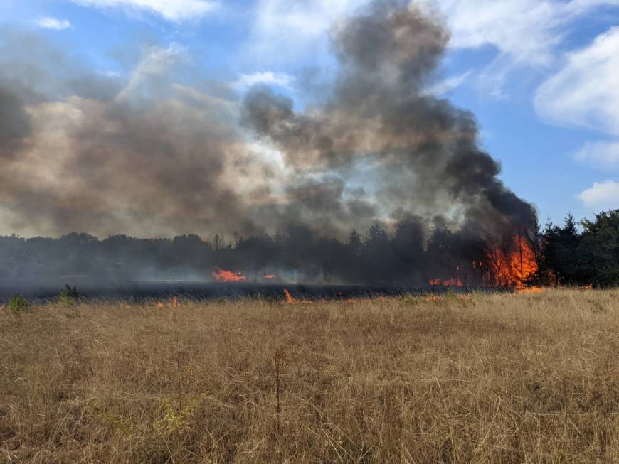 Weiterer Flächenbrand fordert die Feuerwehren der Unteren Hardt