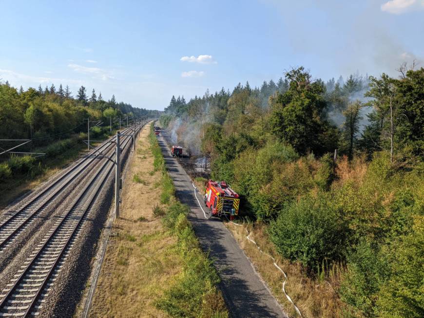 5 Hektar verbrannte Fläche im Waldgebiet Lußhardt – über 400 Einsatzkräfte waren gefordert