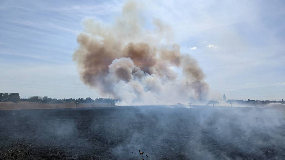 Weiterer Flächenbrand in Karlsdorf-Neuthard – Wohngebiet konnte erneut geschützt werden