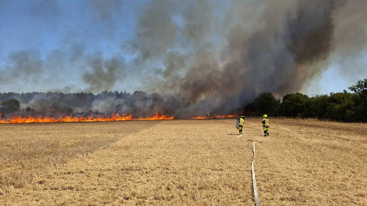 Größerer Flächenbrand bei Linkenheim-Hochstetten fordert Feuerwehren der Region – weiterer Flächenbrand in Stutensee