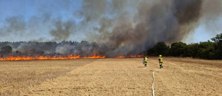 Größerer Flächenbrand bei Linkenheim-Hochstetten fordert Feuerwehren der Region – weiterer Flächenbrand in Stutensee