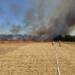 Größerer Flächenbrand bei Linkenheim-Hochstetten fordert Feuerwehren der Region – weiterer Flächenbrand in Stutensee