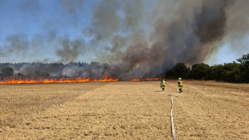 Größerer Flächenbrand bei Linkenheim-Hochstetten fordert Feuerwehren der Region – weiterer Flächenbrand in Stutensee