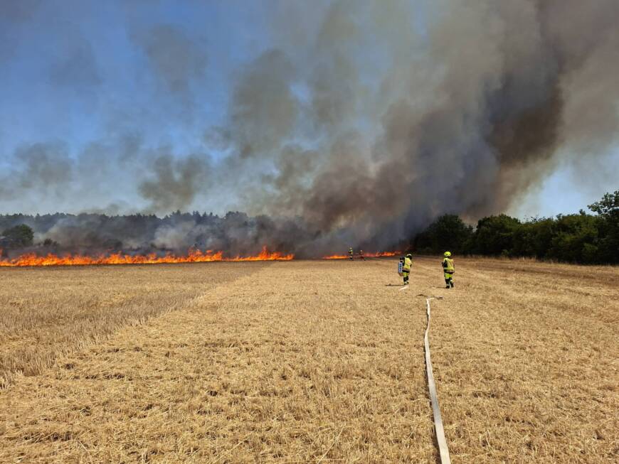 Größerer Flächenbrand bei Linkenheim-Hochstetten fordert Feuerwehren der Region – weiterer Flächenbrand in Stutensee